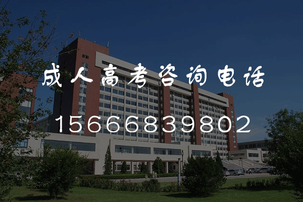 2024年德州成人高考考几天？
