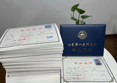 成人高考|高起专《语文》复习​