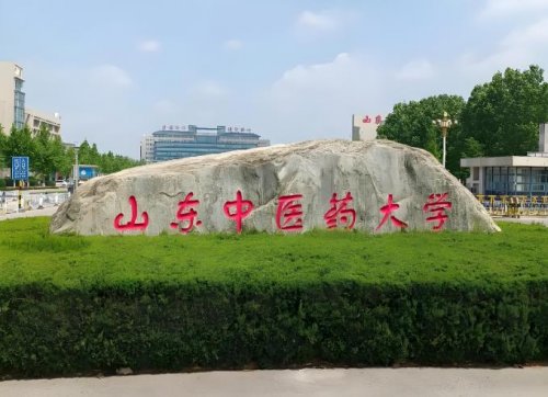 山东中医药大学