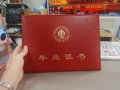 山东成考人必备：选好专业，考公